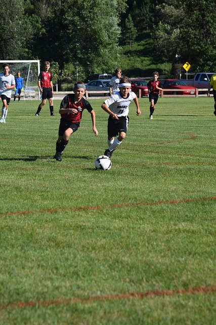 根据种种因 根据种种因