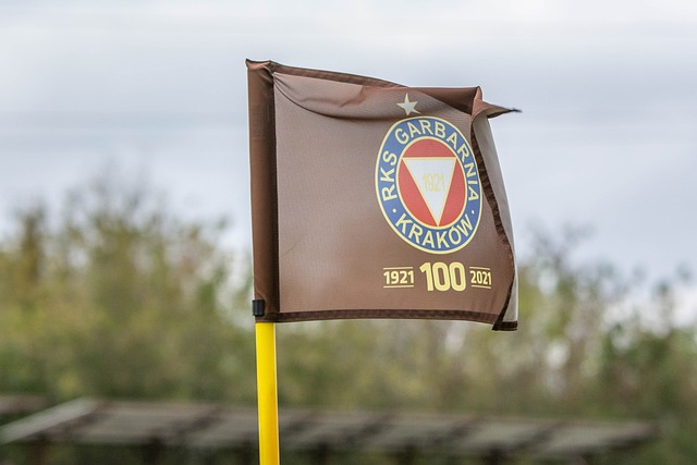 霍芬海姆主 霍芬海姆主