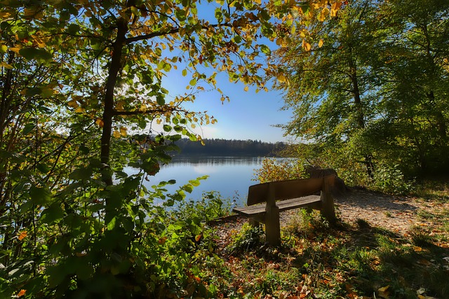 育界的潛在 育界的潛在