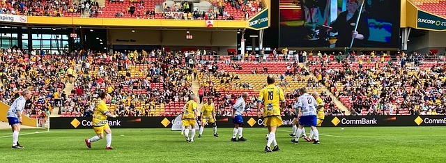 充分发挥了 充分发挥了