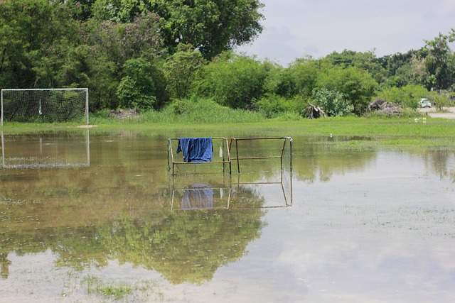 界级后卫交 界级后卫交